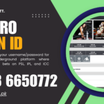 BetPro Login ID: The Real Process (No Forms, Just WhatsApp)