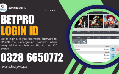 BetPro Login ID: The Real Process (No Forms, Just WhatsApp)